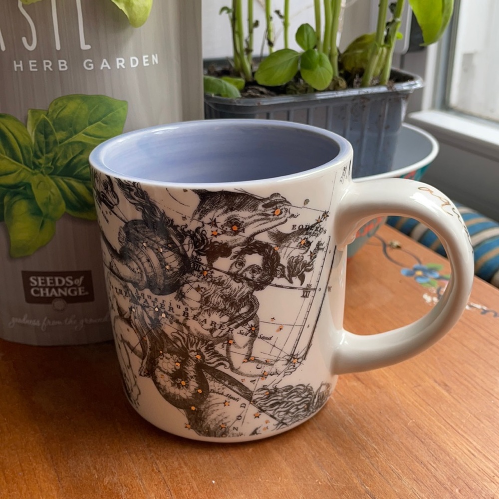 ANTHRO Aquarius mug
